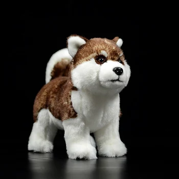 סימולציה הכלב בובה חמודה חום האסקי סיבירי רך החיים האמיתיים זאבת familiaris, פרווה של חיות קטיפה דגם צעצוע לילדים מתנת