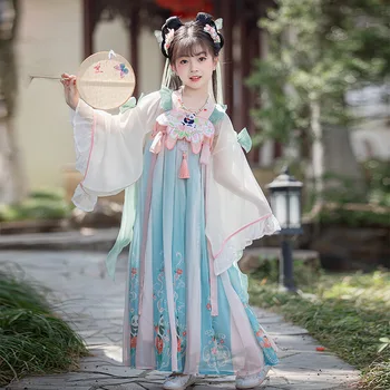 סינית מסורתית Cosplay הבמה לרקוד החלוק פולק טאנג חליפה פיות ביצועים בגדים קלאסי רקמה חזרה קשת Falbala